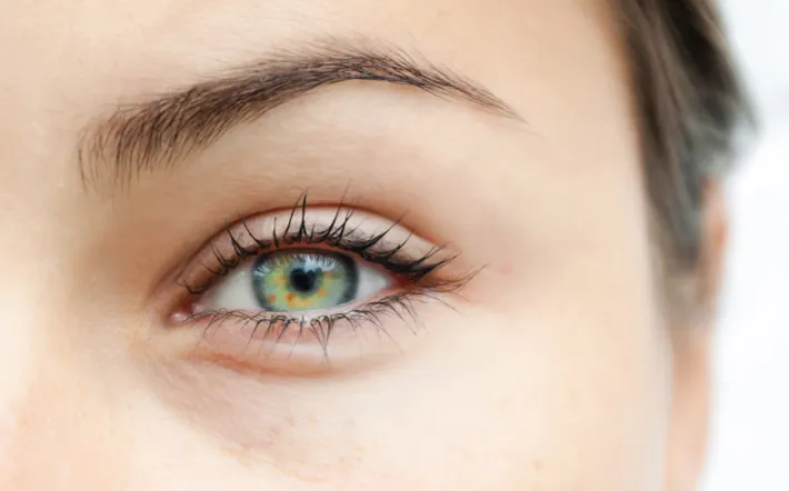 Wimpern & Augenbrauen